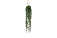 Kunstplant Senecio groen - Countryfield