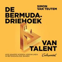 De bermudadriehoek van talent De bermudadriehoek van talent