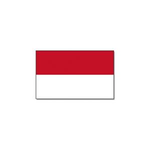 Landenvlag Indonesie