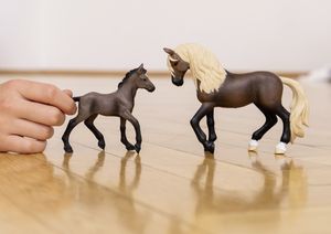 schleich HORSE CLUB Peruviaanse pasohengst - 13952