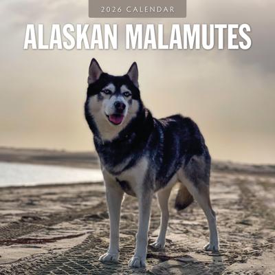 Alaskan Malamute Kalender 2026