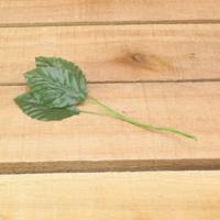 Bonbon doosjes - Chocolade doosje - Blaadjes