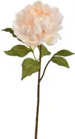 Pure Royal kunsttak pioenroos 57cm crème