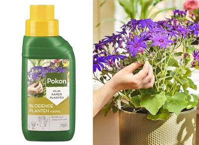 Pokon Bloeiende Planten Voeding 250ml
