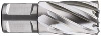 Rotec HSS Kernboor SILVER-LINE, weldon 19, ø26x30 - 536.2600W