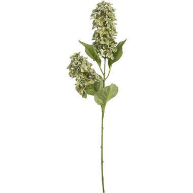 Kunstbloem Hydrangea Paniculata Spray - groen - 76 cm - Leen Bakker