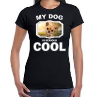 Chihuahua honden t-shirt my dog is serious cool zwart voor dames - thumbnail