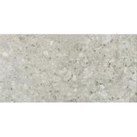 Florim Timeless 744887 Vloertegel 600X1200 Ceppo di Gre 9Mm Glans Ret.