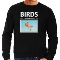 Flamingos sweater / trui met dieren foto birds of the world zwart voor heren - thumbnail