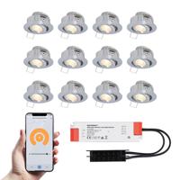 Set van 12 Sienna Smart LED Mini Inbouwspots - Veranda spots - 12V 3W 200lm - Dimbaar - Kantelbaar - Wifi & Bluetooth - 2700K - IP44 - RVS