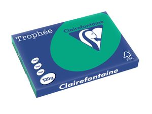 Clairefontaine Trophée Intens, gekleurd papier, A3, 120 g, 250 vel, dennengroen