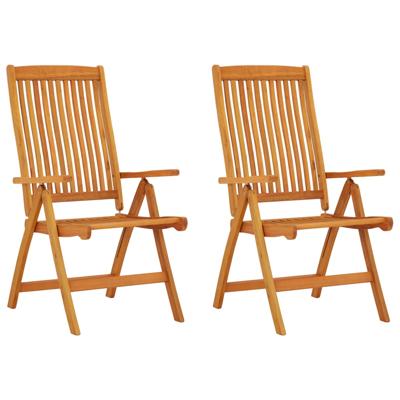 Tuinstoelen 2 st inklapbaar massief eucalyptushout