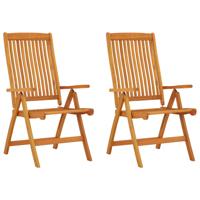 Tuinstoelen 2 st inklapbaar massief eucalyptushout