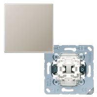 Jung LS990 Edelstaal tiptoetswisselschakelaar met drukknop