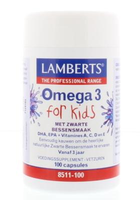 Lamberts Visolie omega 3 for kids