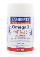 Lamberts Visolie omega 3 for kids Lamberts Visolie omega 3 for kids