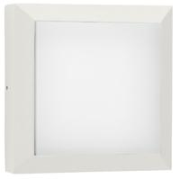 Albert Vierkante wandlamp buitenParel 32cm-wit - 686562