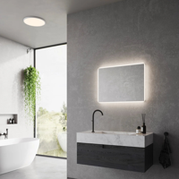 Badkamerspiegel breed met licht 80cm