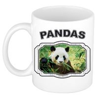 Dieren panda beker - pandas/ pandaberen mok wit 300 ml - thumbnail