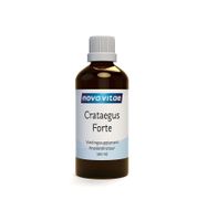 Crataegus forte