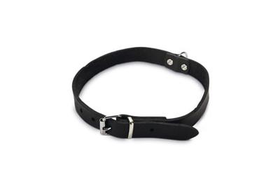 Beeztees Beeztees Halsband Hond Leer Zwart 23-28 cm x 10mm