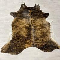 Koeienhuid bruin zwart wit brindle 265x235cm XXL