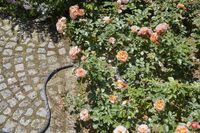 Gardena 18425-20 tuinslang 10 m Boven/onder grond Stof/Weefsel Zwart, Oranje - thumbnail
