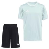 adidas Entrada 26 Voetbaltenue Kids Mintgroen Zwart