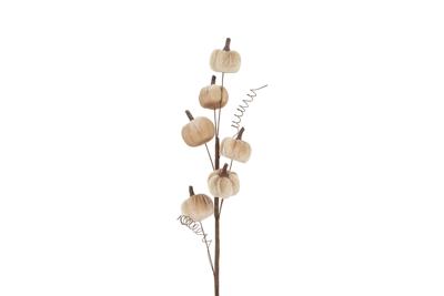 Countryfield pumpkin 50 cm taupe