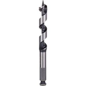 Bosch Accessories 2608585703 Slangenboor 16 mm Gezamenlijke lengte 160 mm Zeskant schacht 1 stuk(s)