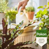 Bio Kamerplanten Voeding 1000ml - Pokon