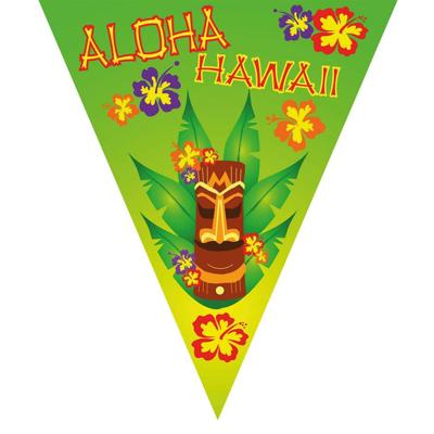 Vlaggenlijn Hawaii thema party van 5 meter