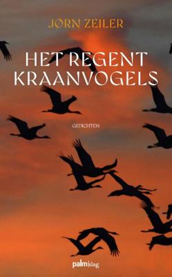 Het regent kraanvogels (Paperback)