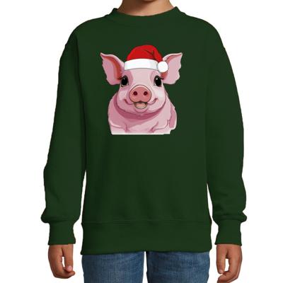 Kersttrui / sweater boerderijdieren - kinderen - Varken - groen - kerstmuts - Kerstmis Kersttrui / sweater boerderijdieren - kinderen - Varken - groen - kerstmuts - Kerstmis
