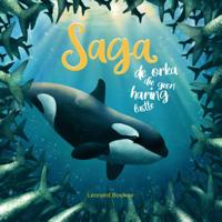 Saga (Hardback)