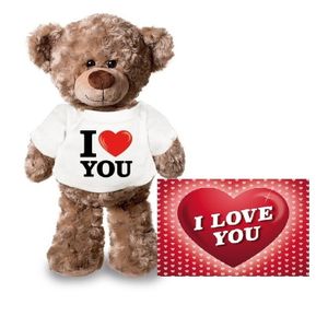 Valentijnskaart en knuffelbeer 24 cm met I love you shirt