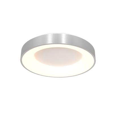 Steinhauer Led plafondlampRinglede Ø 48cm - 2563ZI