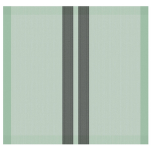 DDDDD theedoek baxter 60x65 green