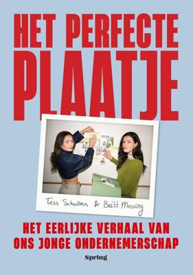 Het perfecte plaatje - Britt Messing, Tess Scholten - ebook