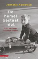 De hemel bestaat niet - Jannetje Koelewijn - ebook