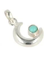 Edelsteen Hanger Turkoois Maan - Zilver