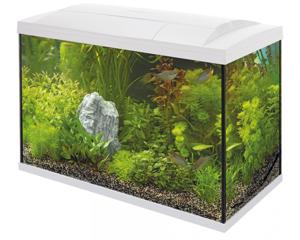 Superfish Start 150 Tropical Kit - 146L Compleet Wit Aquarium met LED-verlichting en Filter