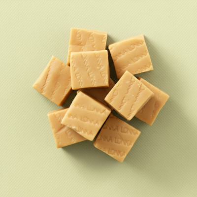 Fudge vanille 300 gram