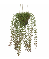 Hangplant in pot d17h32 cm groen a2 kunstbloem zijde nepbloem - Decoris