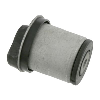 Achteraslichaamlager 24245