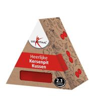 Kersenpit kussen vierkant