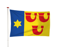 Vlag Heeze