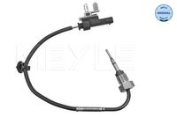 Sensor, uitlaatgastemperatuur 6148000074