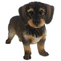 Tuinbeeld Ruwharige Teckel - hond - bruin - 29 cm - polystone