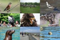 3 belevenissen voor de dierenliefhebber in 1 pakket 3 belevenissen voor de dierenliefhebber in 1 pakket